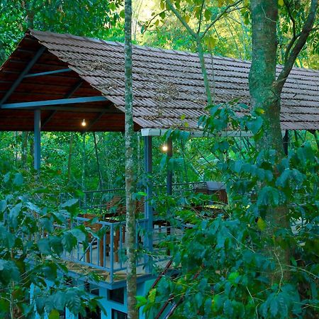 Snow Hills Resorts Thekkady Exteriér fotografie