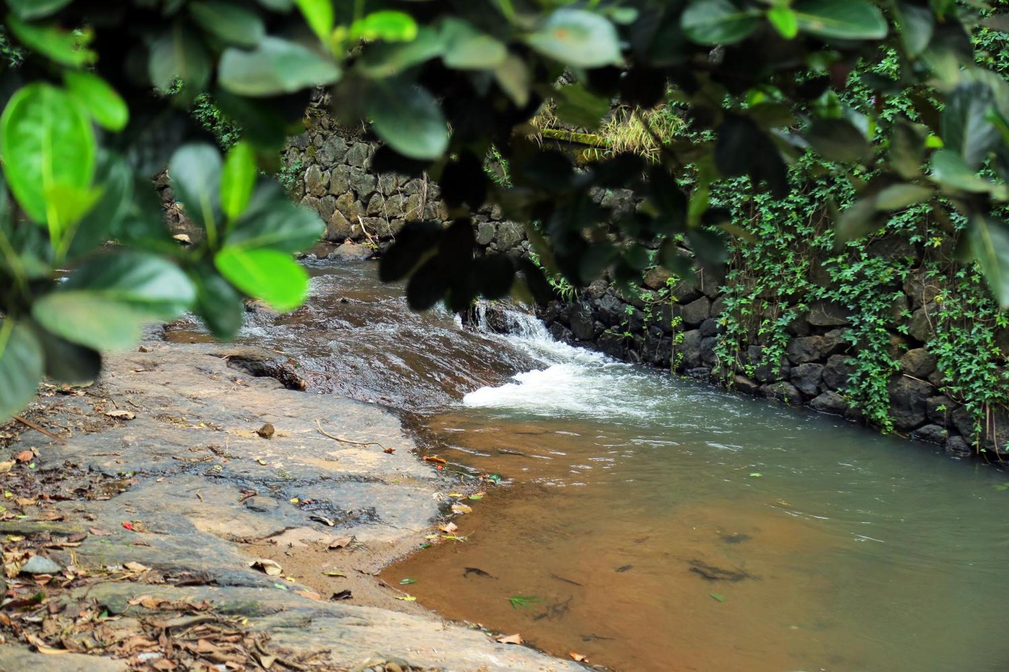 Snow Hills Resorts Thekkady Exteriér fotografie