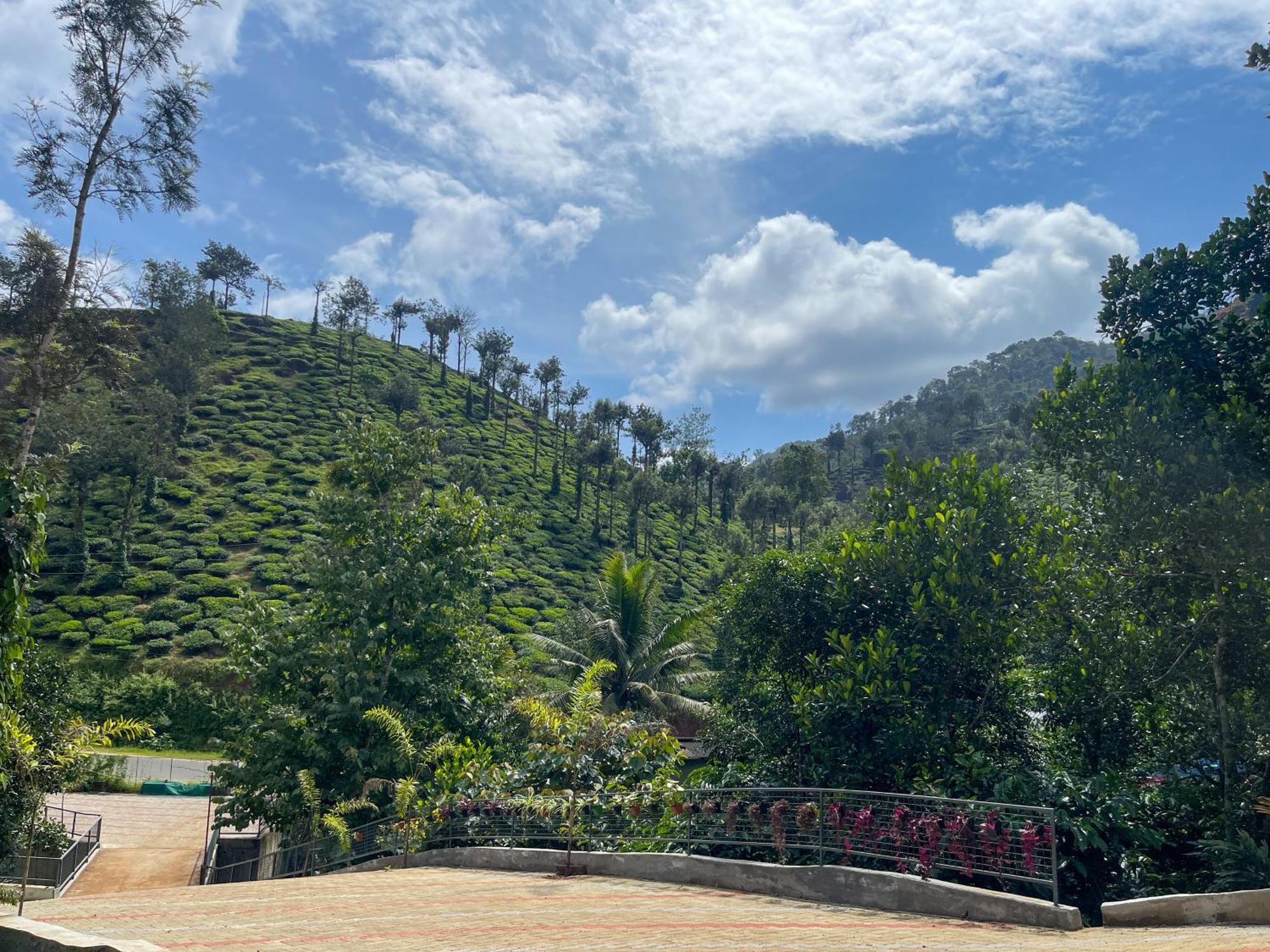 Snow Hills Resorts Thekkady Exteriér fotografie